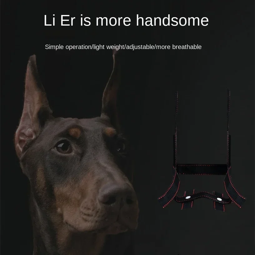 Dog Ear Stand Ear Correction Fixation Tool Doberman German Shepherd Dedicated Vertical Dogs Accessories Dog Lifter