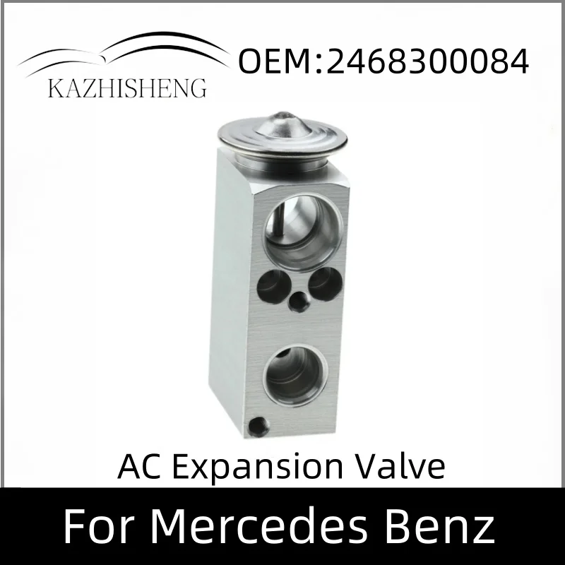 

2468300084 AC Expansion Valve For Mercedes Benz W246 W204 W211 W220 W221 B160 B200 B220