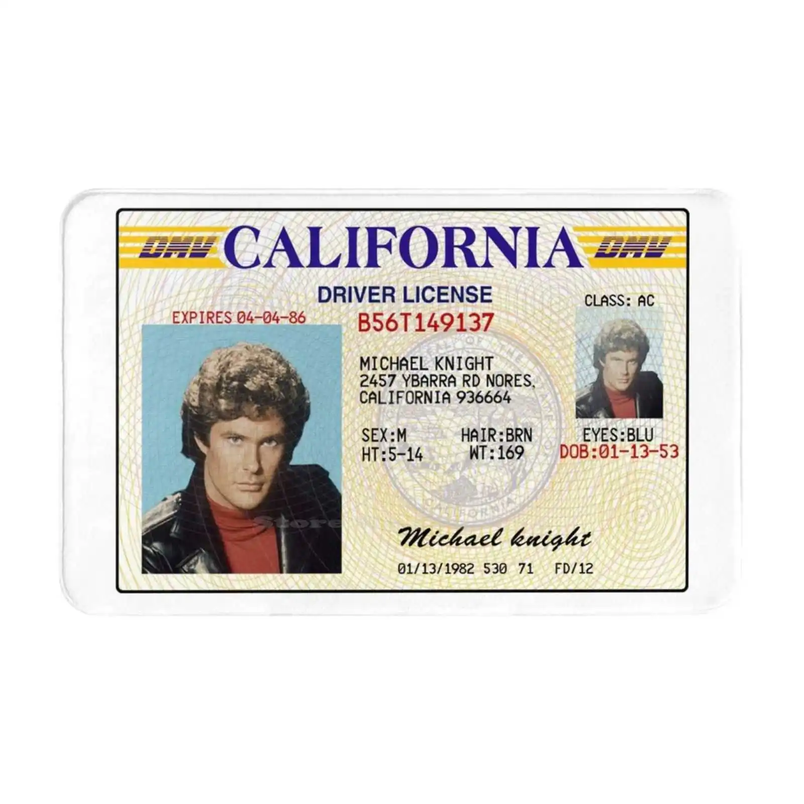 Michael Knight Driver License-Knight Rider Soft House Family Anti-Slip Mat Rug Carpet K2000 Holdschool Because Vintage Knight