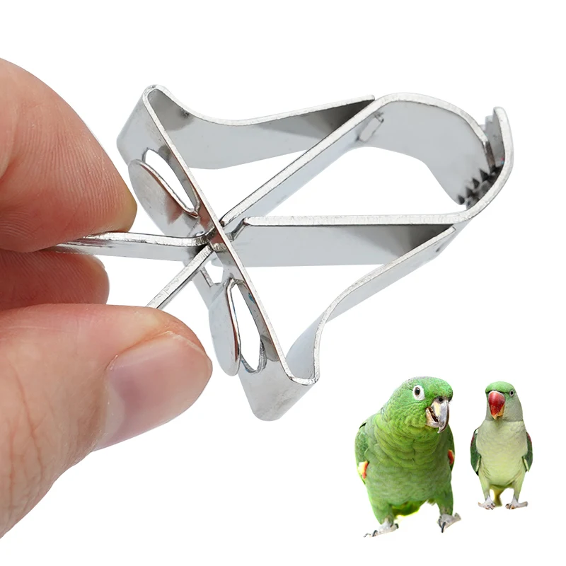 Stainless Steel Parrot Fruit Vegetable Feeding Clip For Small Animals Durable Plastic Bird Food Clip Portable Pet Parrot Feede