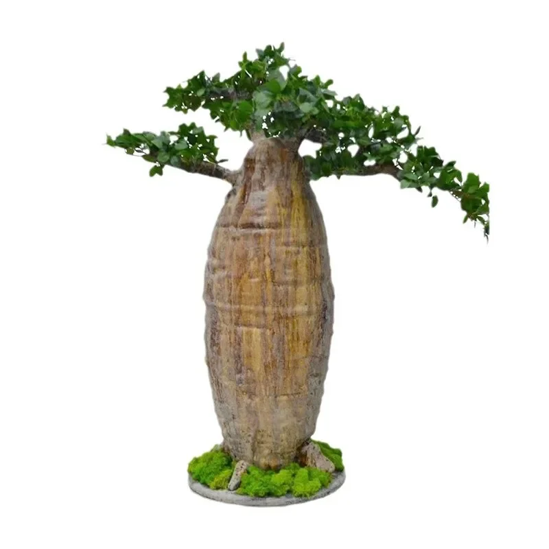 

Large, simulated, plant, baobab, landing, garden landscape