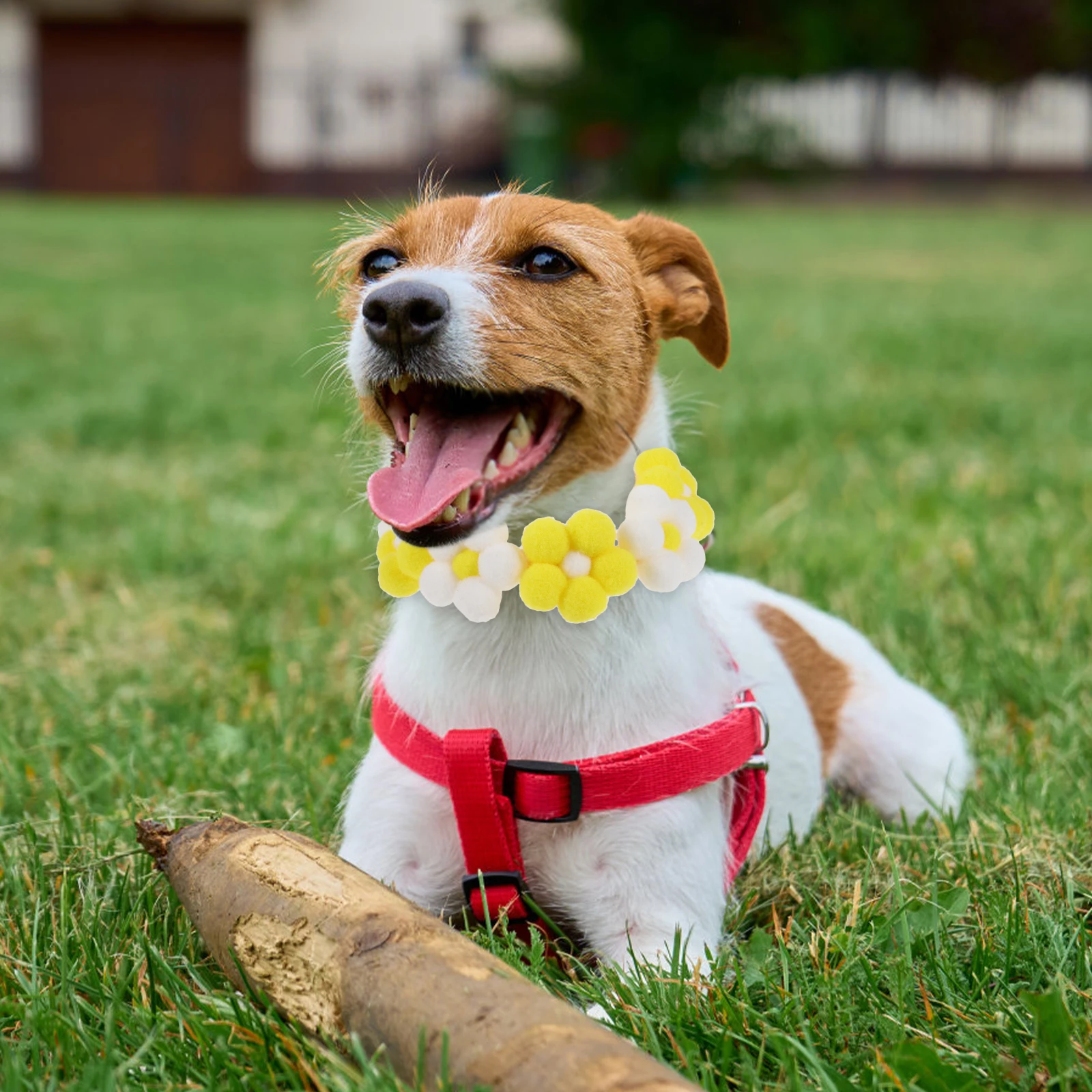 

Soft Pet Adjustable Floral Dog Comfortable Puppy Collar For Small Medium Large Dogs Kitten Party Wedding Christmas Decorative
