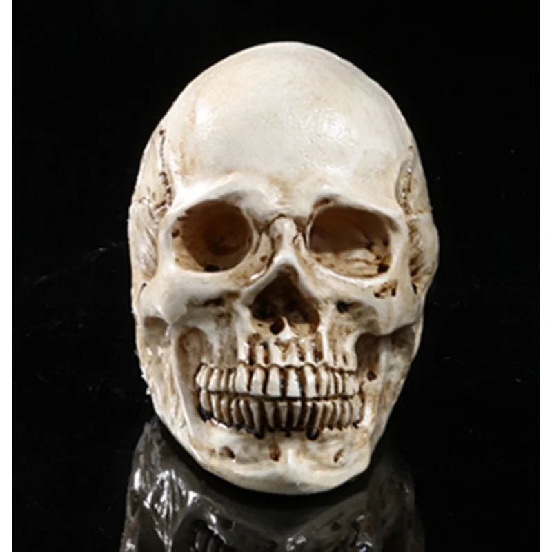 Halloween Props Home Decoration Teaching Resin Skull