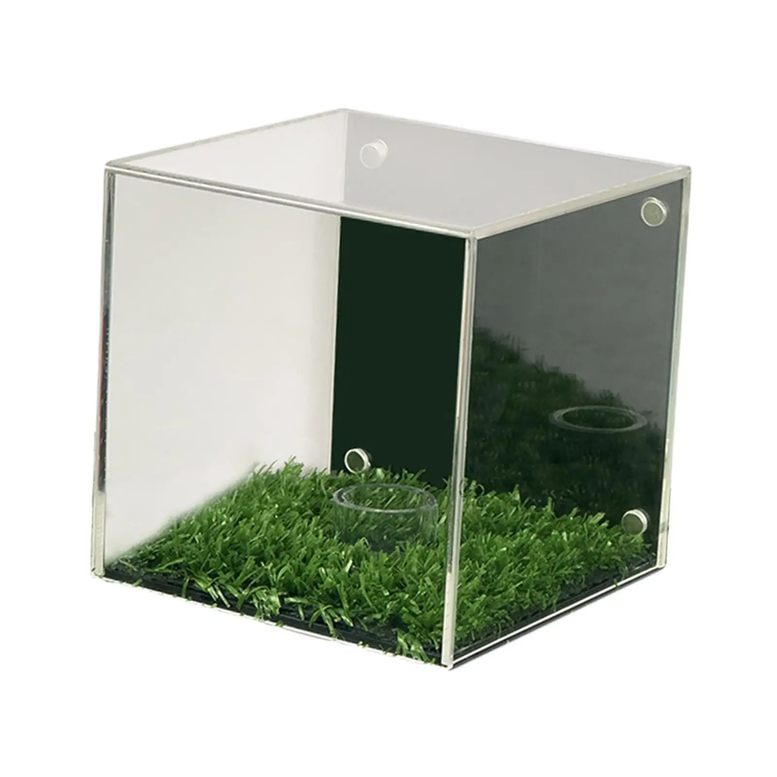 حقيبة عرض كرة الجولف متعددة الأغراض مع قاعدة عرض واقية شفافة #3