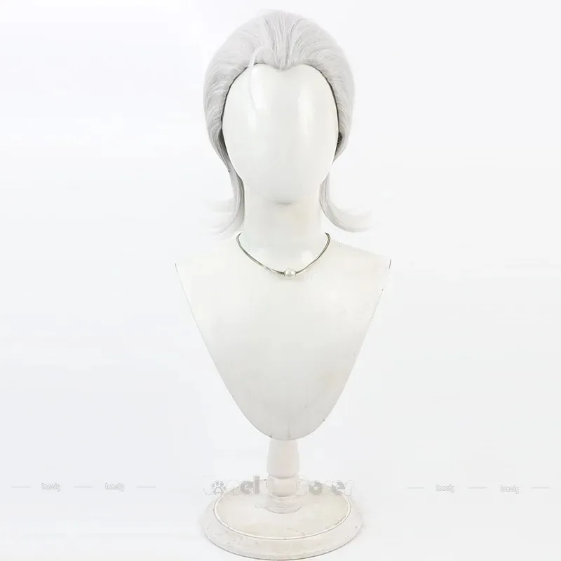 

2025 22 Anime To Be Hero X Cosplay Wig Silver Gray White Slicked-back Hair Heat Resistant Wigs For Men Women Girls Carnival Free