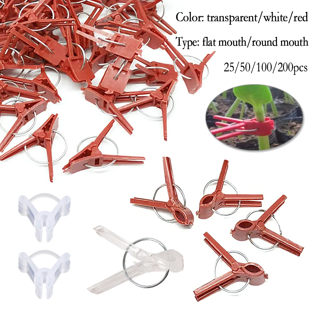25-200Pcs Plant Grafting Clip Plastic Plants Graft Clips For Cucumber Eggplant Watermelon Anti-fall Clamp Gardening Tool