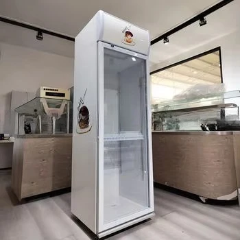 

For Commercial Vertical Bar/Beer Cooler Single Door Digital Temperature Control (2C-8C) Energy m