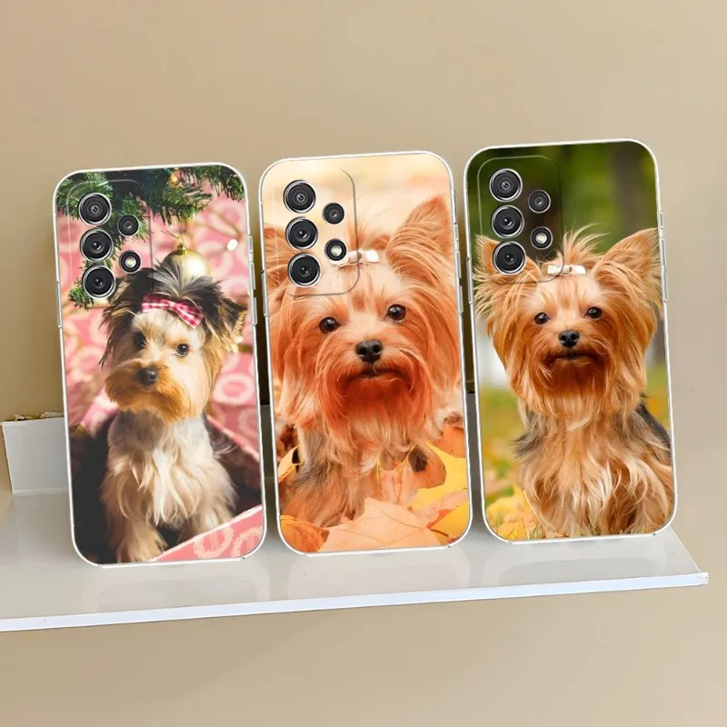 York Shire Terrier Dog Phone Case Clear For Samsung S23 S20 S30 S22 S10E S10 20Fe Note 20 10 Pro Plus Ultra A12 A42 A71 A91