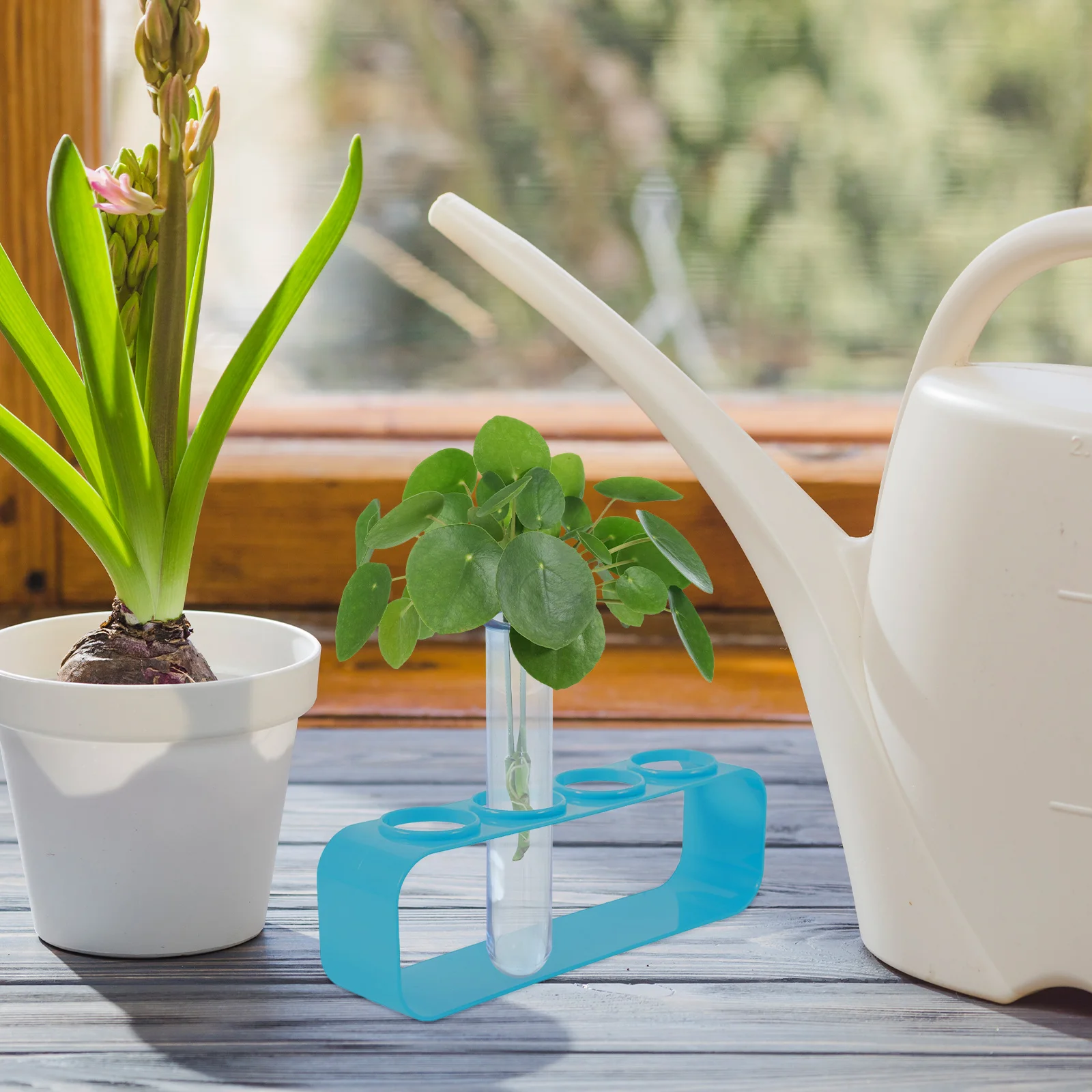 

6 Pcs Hydroponic Vase Test Tube Material Vases Home Decoration DIY Flower Arrangements Clear Tubes Office Flowers