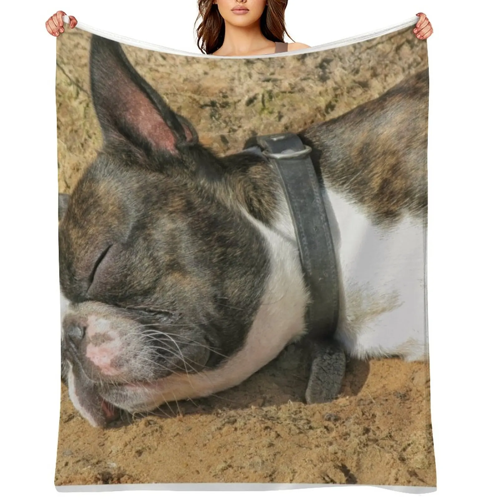 

Boston Terrier sleeping Throw Blanket Bed Decoratives Nap Retros Blankets