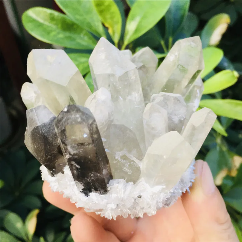 Natural white crystal light tea-colored crystal clusters f