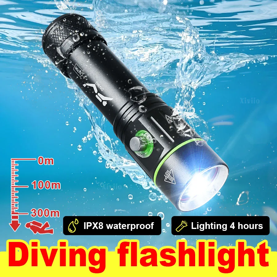 2026 Professional D…