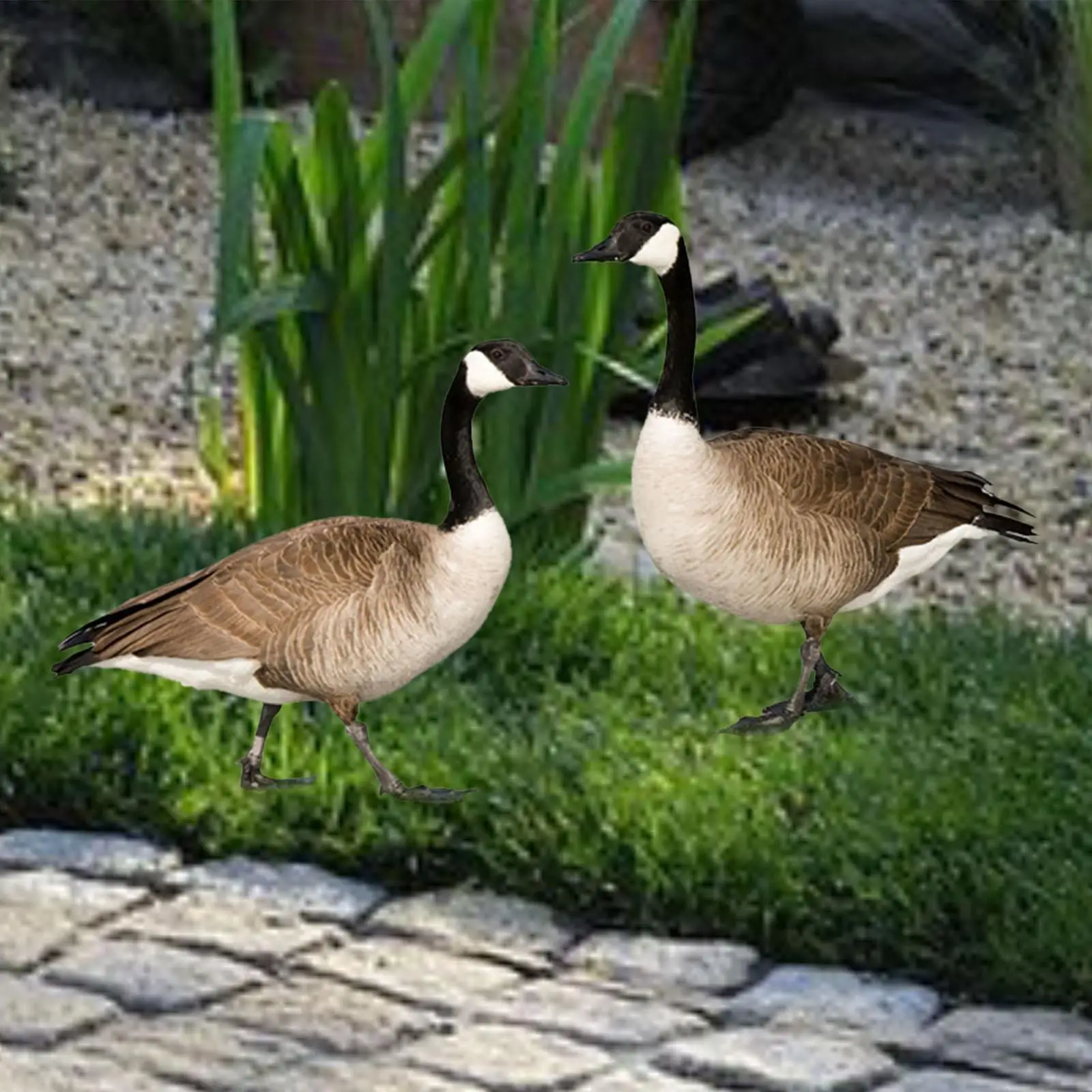 

2Pcs 2D Outdoor Decorative Garden Stake Yard Sign,Lawn Ornament,Duck Shape Acrylic Sign for Backyard,Landscape,Bonsai Outside