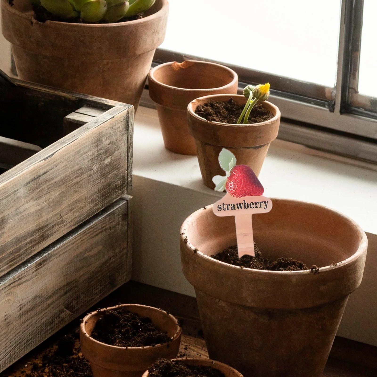 

12Pcs Garden Marker Stakes Wooden Fruit Plant Labels Waterproof for Outdoor Nursery Potted Plants Natural Rustic Decoration