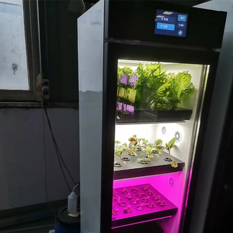 Single Door Hydroponics Grow System Indoor System Vertical Indoor Agricultural Greenhouses Water