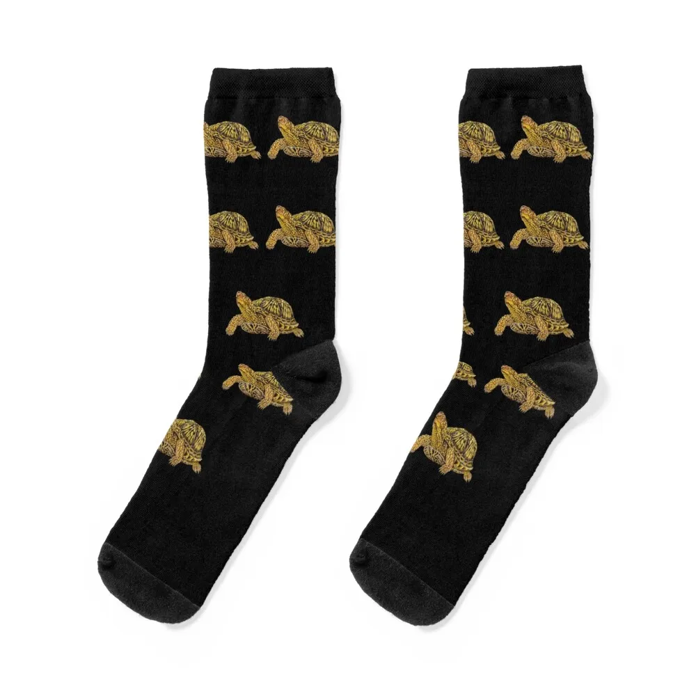 

Eastern Box Turtle Socks cycling Children's Run funny gifts Socks Female Men's