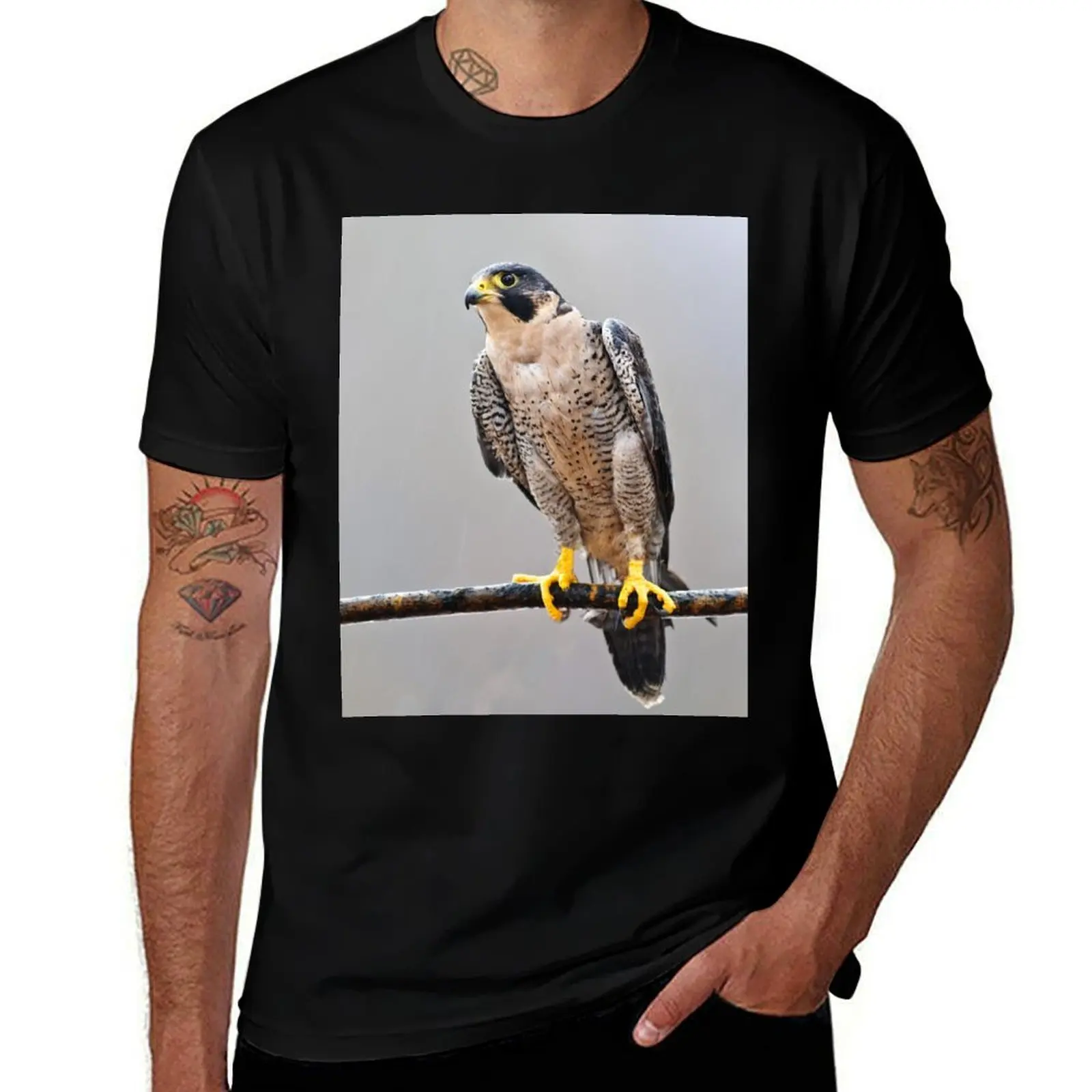 

Peregrine Falcon T-Shirt Short sleeve tee quick-drying oversized t shirt tshirts for men