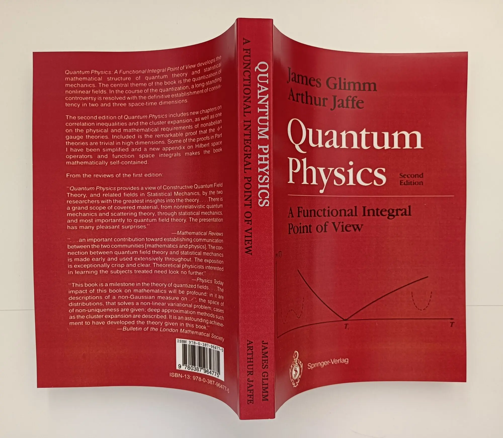 Quantum Physics: A Functional Integral Point Of View