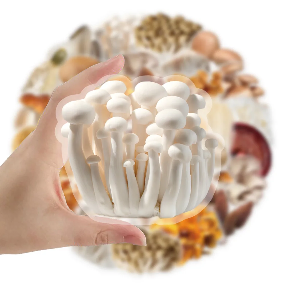 50PCS Mushroom Graffiti Sticker Transparent PET Decals Children Stationery Phone Laptop Scooter Luggage Waterproof Decor Sticker