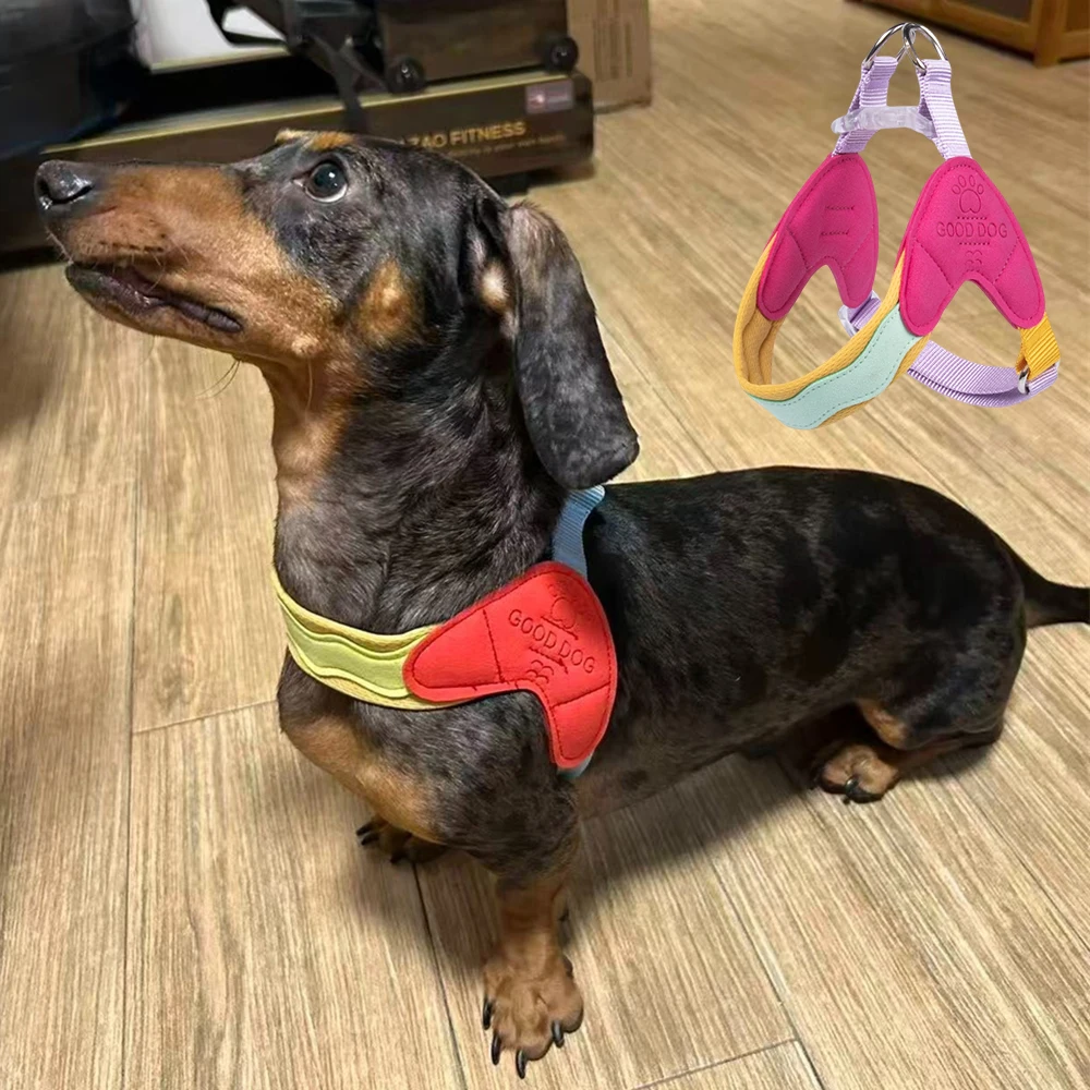 #56 Latest Puppy Harnesses Offers