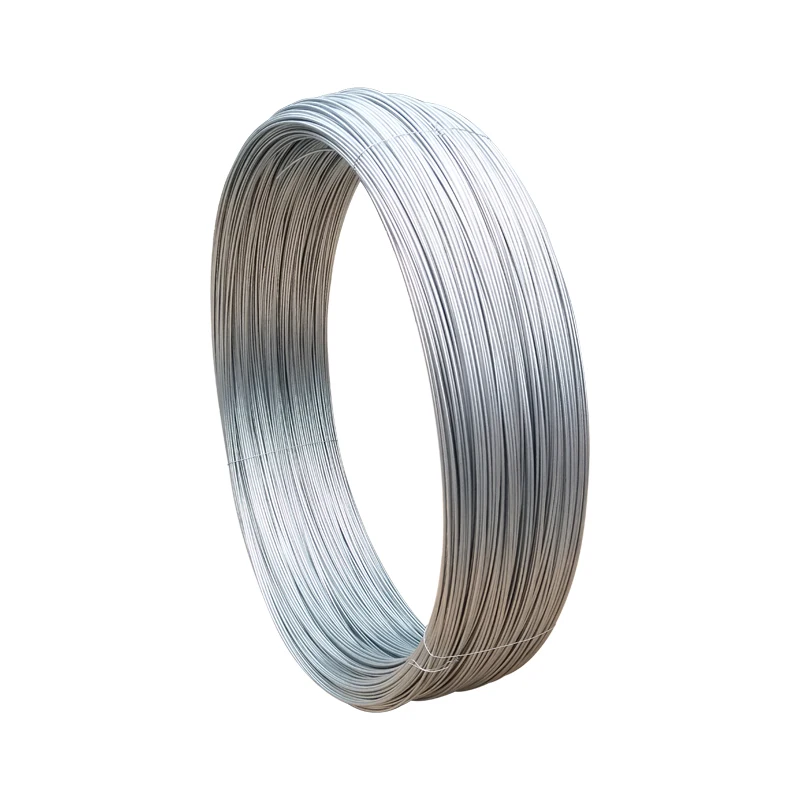 19 Gauge Craft Wire 200' Twist Tie Wire Galvanized Wire Rope Snare Wire for jewelry making