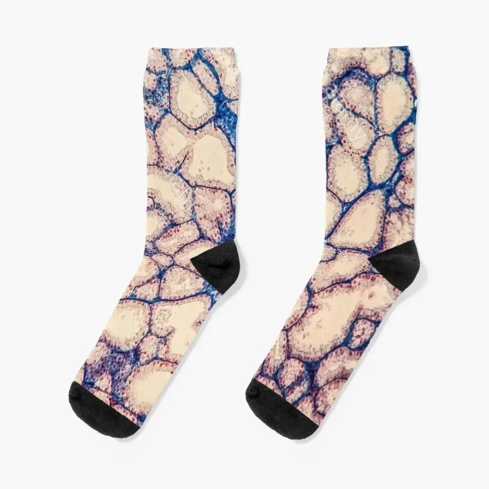 

Lacrimal glands Socks funny sock cycling essential gym Men's Socks Women's