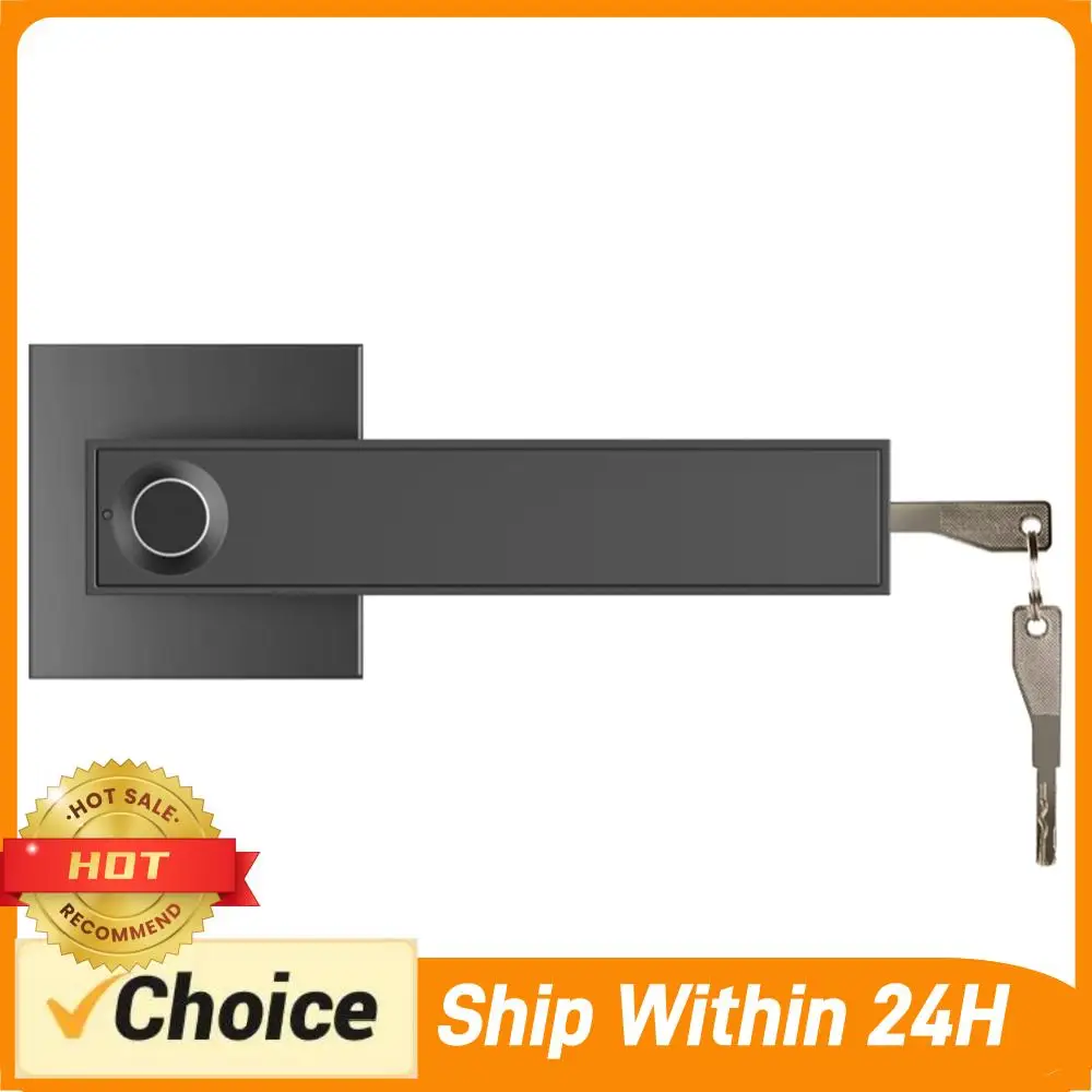 

Электронный дверной замок с отпечатком пальца, защита от кражи, из цинкового сплава, полупроводниковый, умный, с ручкой, без ключа