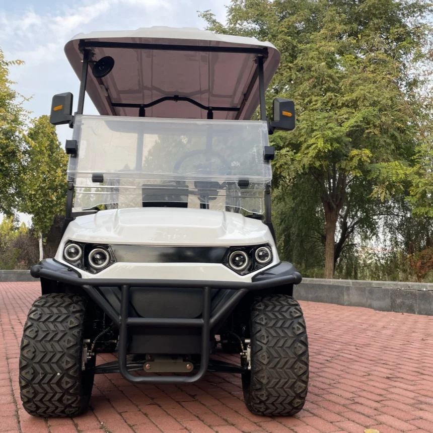 

Электрическая тележка для гольфа с литиевой батареей, одобренная CE, с ремнями для сумок для гольфа, корзиной, устройством для мытья мячей и внедорожными шинами