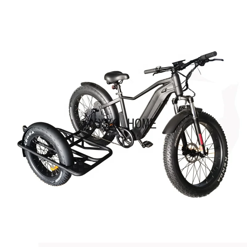 Fiets Kant Auto Volwassen Elektrische Driewieler Fiets 3 Wiel Ebike Elektrische Cargo Trike 750W Verborgen Lithium Batterij Etrike Zijspan