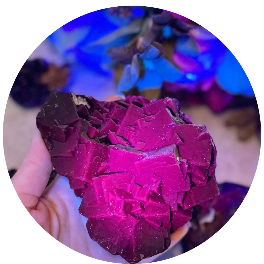 Picture 5: Natural UV Reactive Black Rose Fluorite Bohemian Home Office Decor Gift for Christmas Thanksgiving Valentine'S Day Holiday