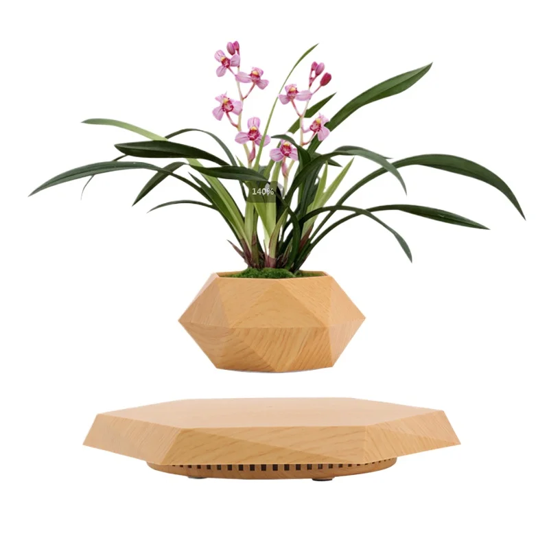 

Maglev potted plants, creative bonsai plants maglev