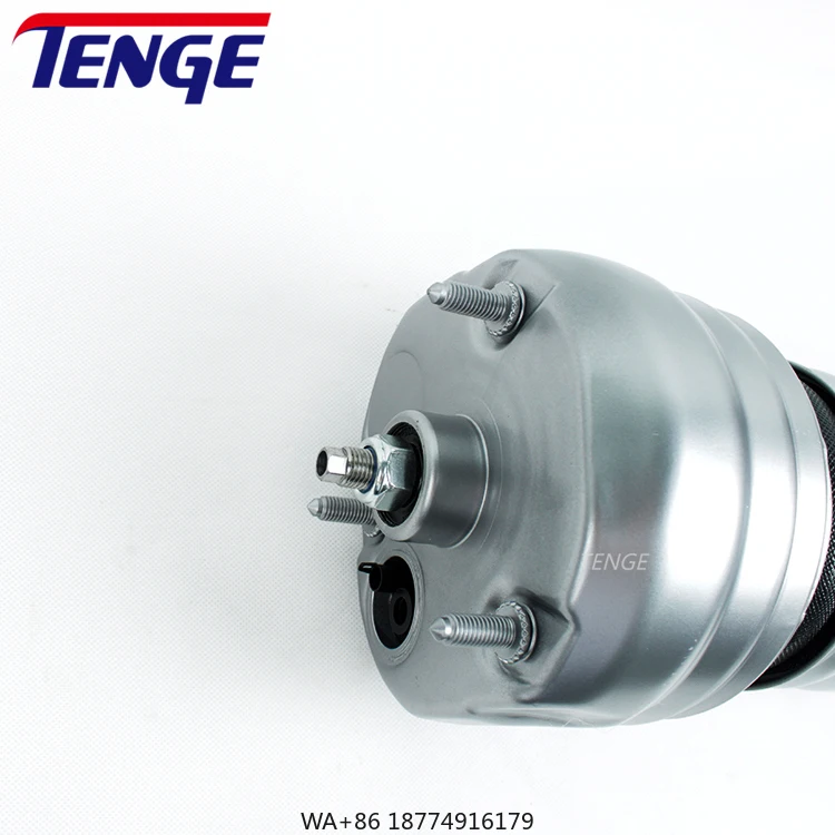 Tenge Front Left/Right Air Suspension Shock Absorber Strut Buffer Strut for   OEM 97034305215
