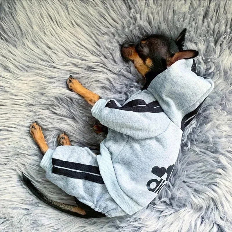 Hooded Pet Tracksuit 1