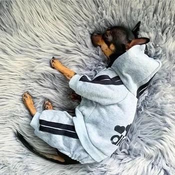 Hooded Pet Tracksuit 1