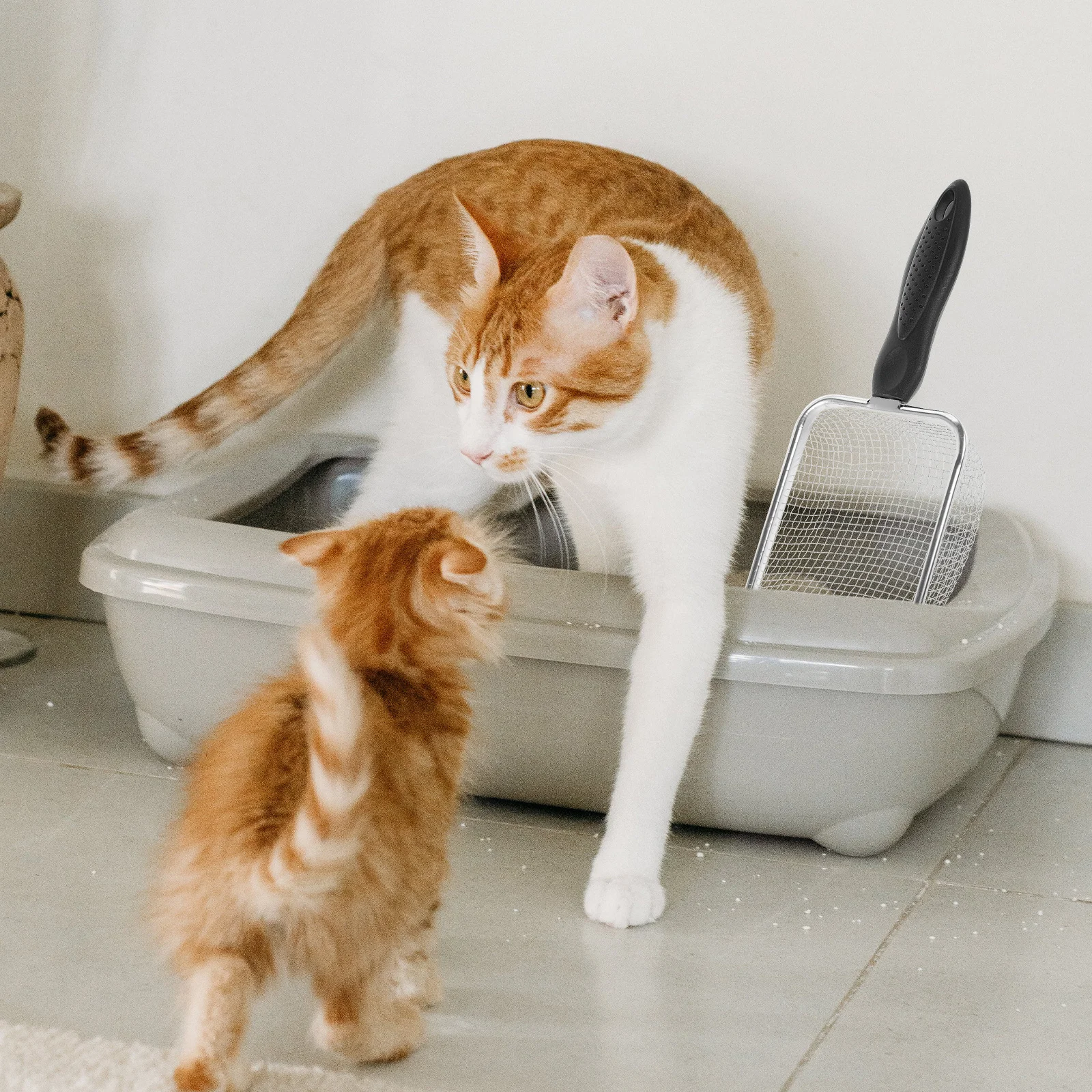 

Stainless Steel Reptile Sand Shovel Fine Mesh Filter Litter Box Cleaner Excrement Scoop Sand Substrate Tool Reptiles Cage