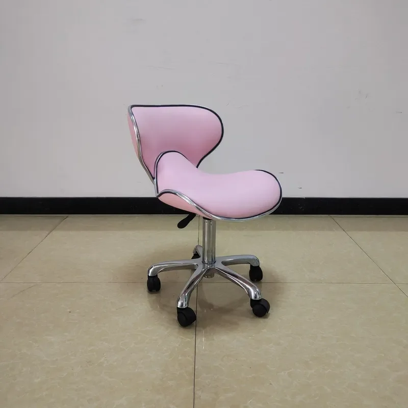 Adjustable Hydraulic Barber Chair Rolling Swivel Stool for Hair Salon Spa Massage Therapy Work Seat with Wheels