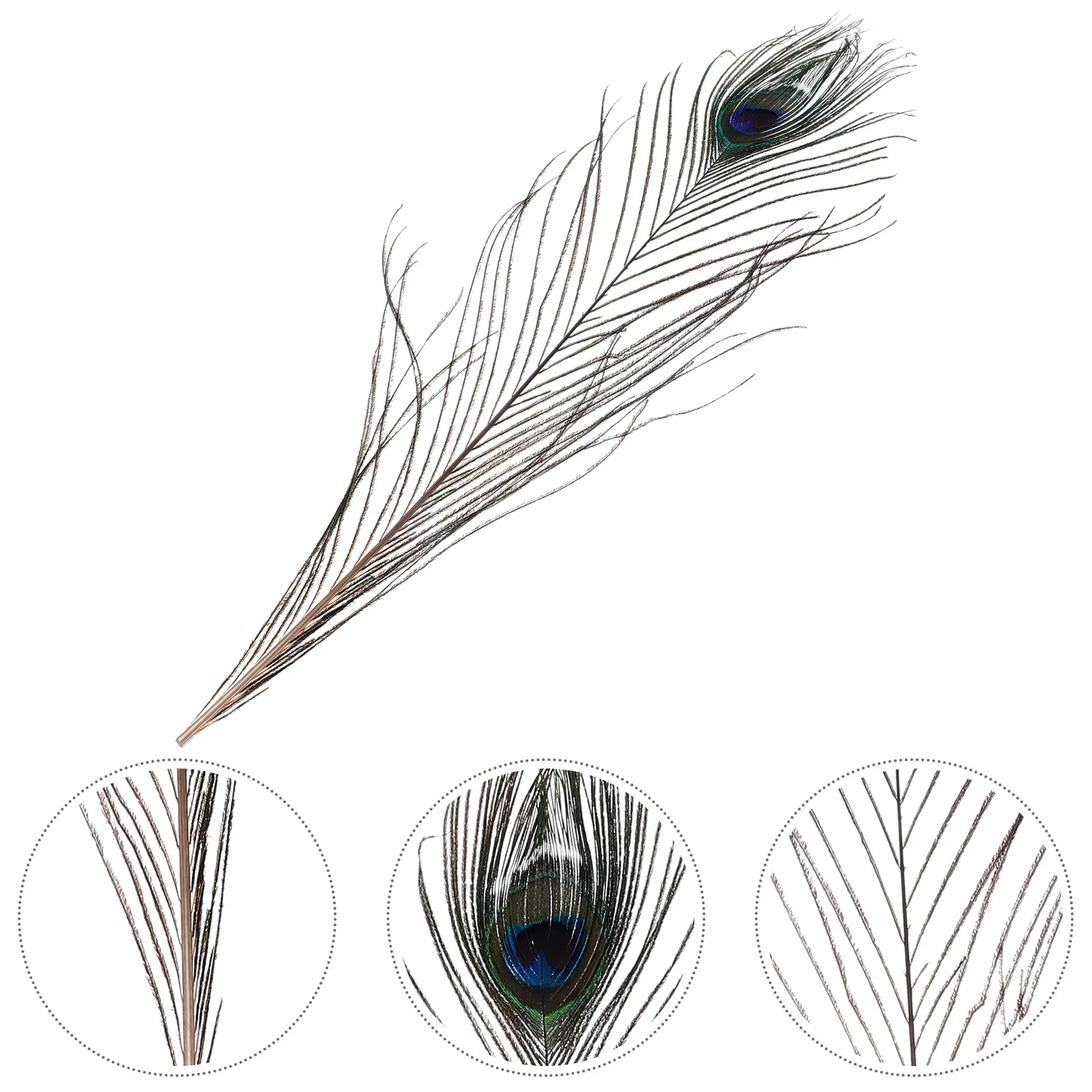 

10Pcs Natural Peacock Plumes Reliable Quality DIY Craft Plumes Wedding Vase Floral Arrangement Decoration Home Decor