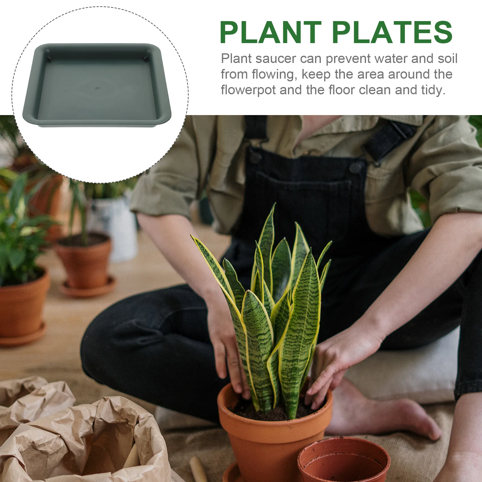 

4pcs Round Plant Dish Potted Trays Dark Green Resin Flowerpot Saucer Durable Longtime Use Indoor Outdoor Water Protection Clean