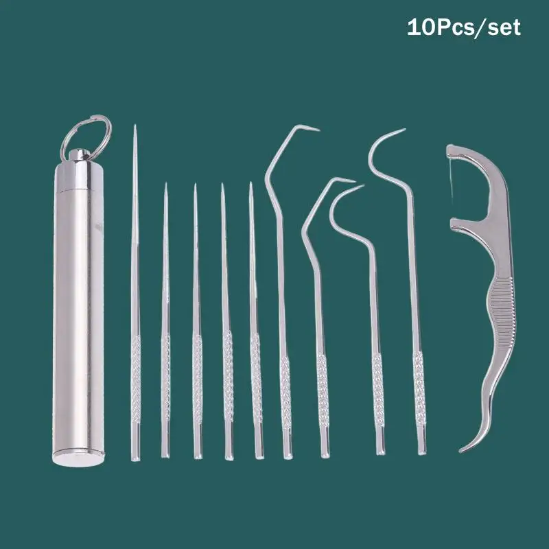 1 Set Food Grade Stainless Steel Toothpick Kit Reusable Portable Metal Toothpicks with Floss for Travel Hiking
