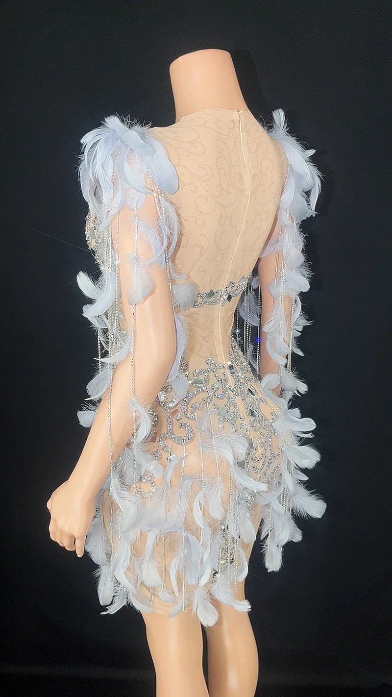 Robe de Soirée Moulante en Dentelle et Plumes à Paillettes, Tenue Personnalisée, Transparente, à Haute artificiel asticité, à Manches Courtes, Sexy, pour Spectacle sur Scène