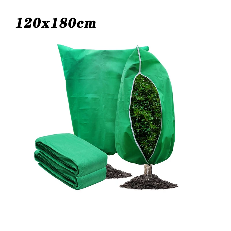 Variant: 120x180cm Green