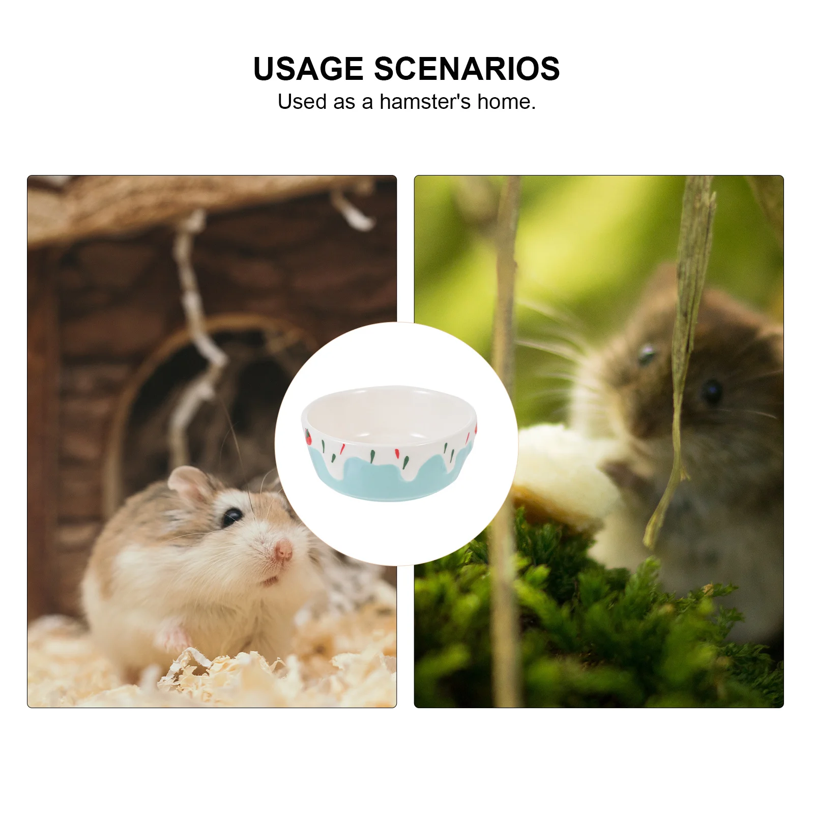 

1Pcs Ceramic Small Animal Supply Simple Structure No Dead Corners Durable Safe Healthy Feeder Small Animal Ceramic Bowl