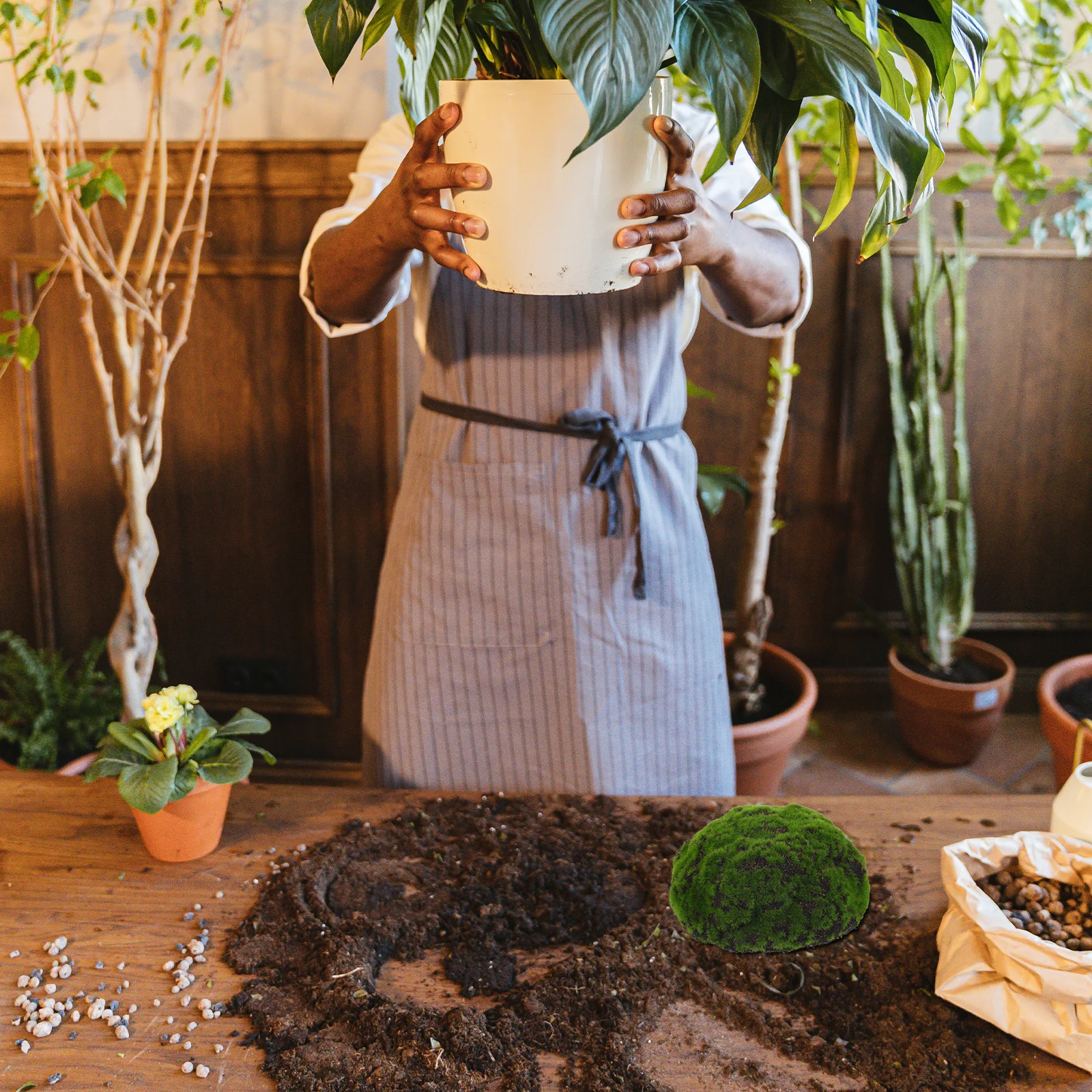 

Realistic Artificial balls Ornaments for DIY Micro Landscape Gardening Props Decor Fake for Fake Plants Indoor