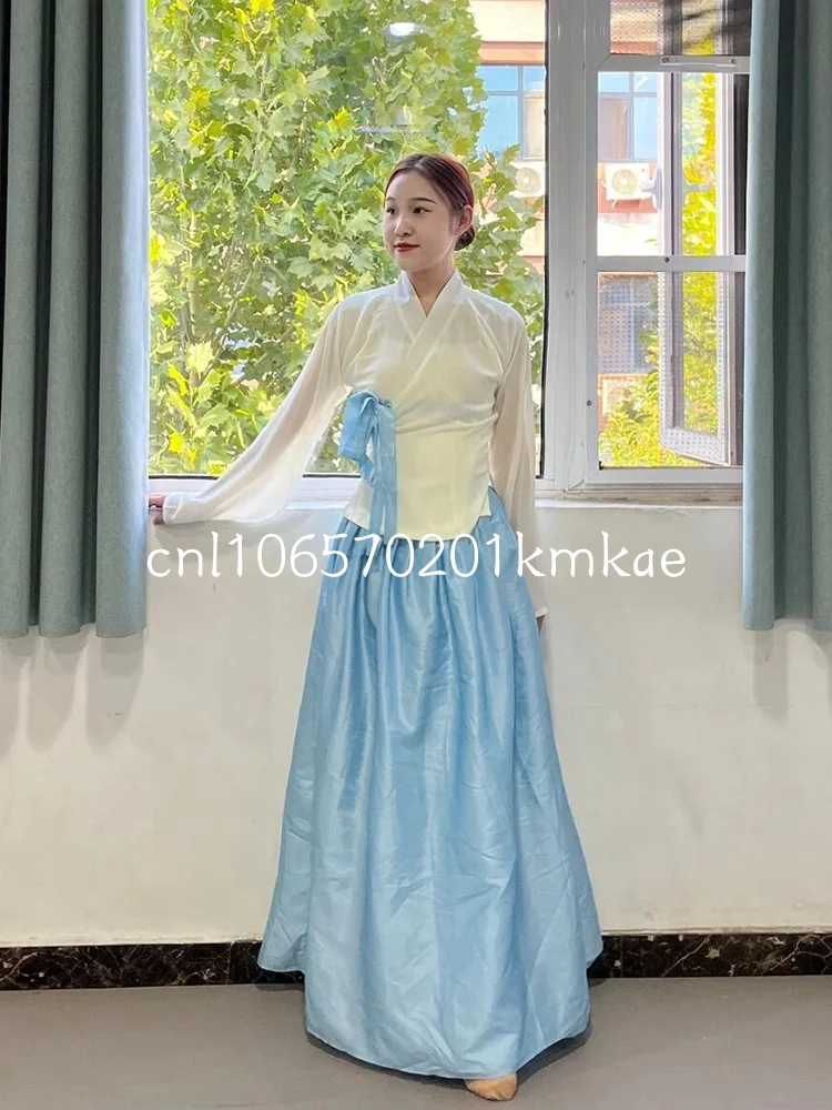 Elegant Adult Korean Ethnic Dance Skirt Performance Costume Practice Training Skirt Ethereal National Stage Wear Ladies' Set