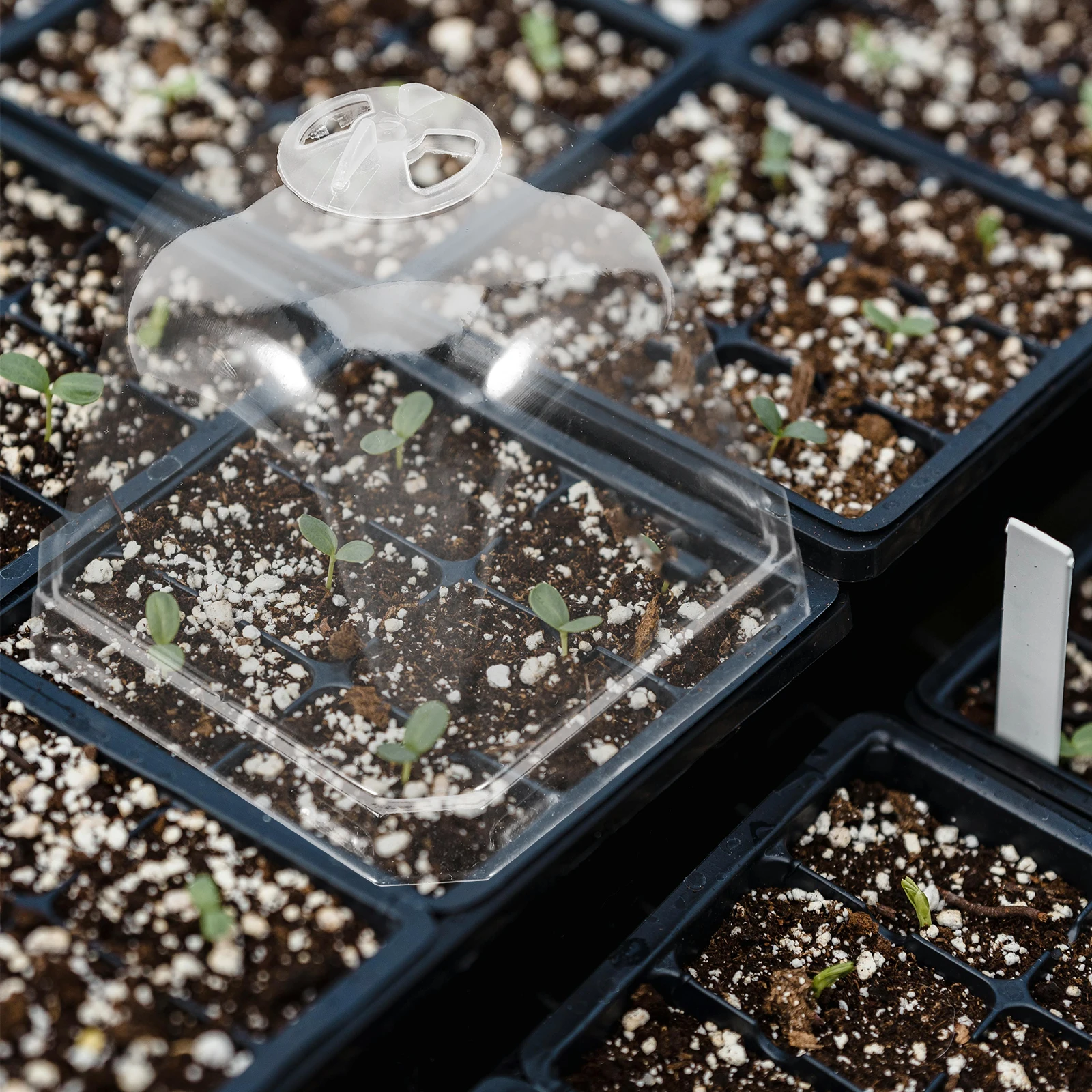 

12pcs Clear Plastic Plants Covers Dome For Garden Cloche Domes Protection Reusable Square Plants Protector Covers For Greenhouse