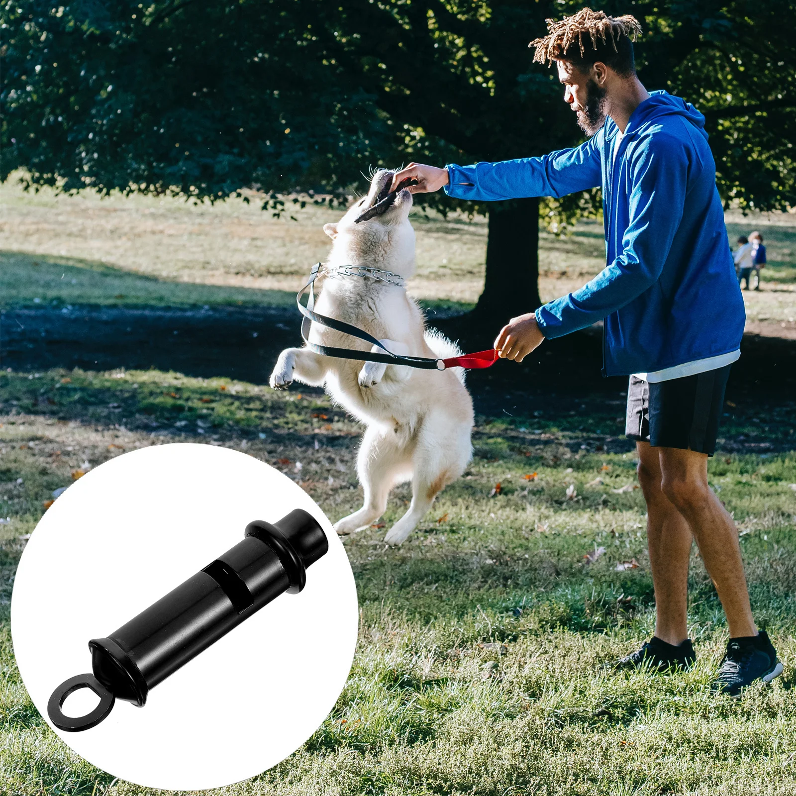 

Pet Training Whistle Metal Sturdy Lightweight Dog Cat Bird Training Tool Stop Barking Whistle Dog Whistles to Stop Barking