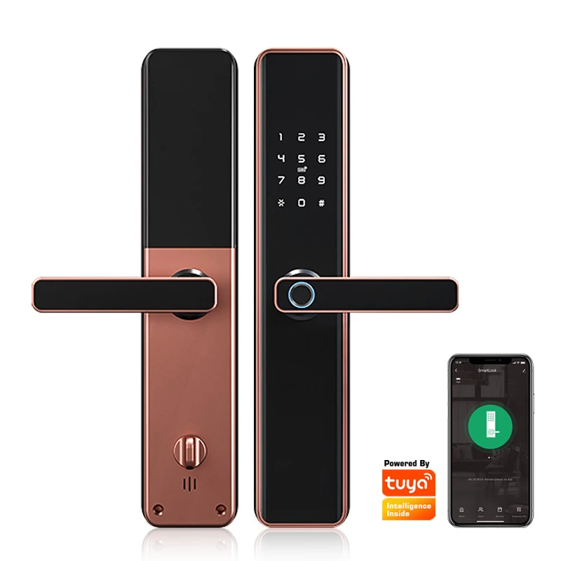 Tediton Wholesale Electronics Fingerprint Tuya wifi Smart Gate Door Lock