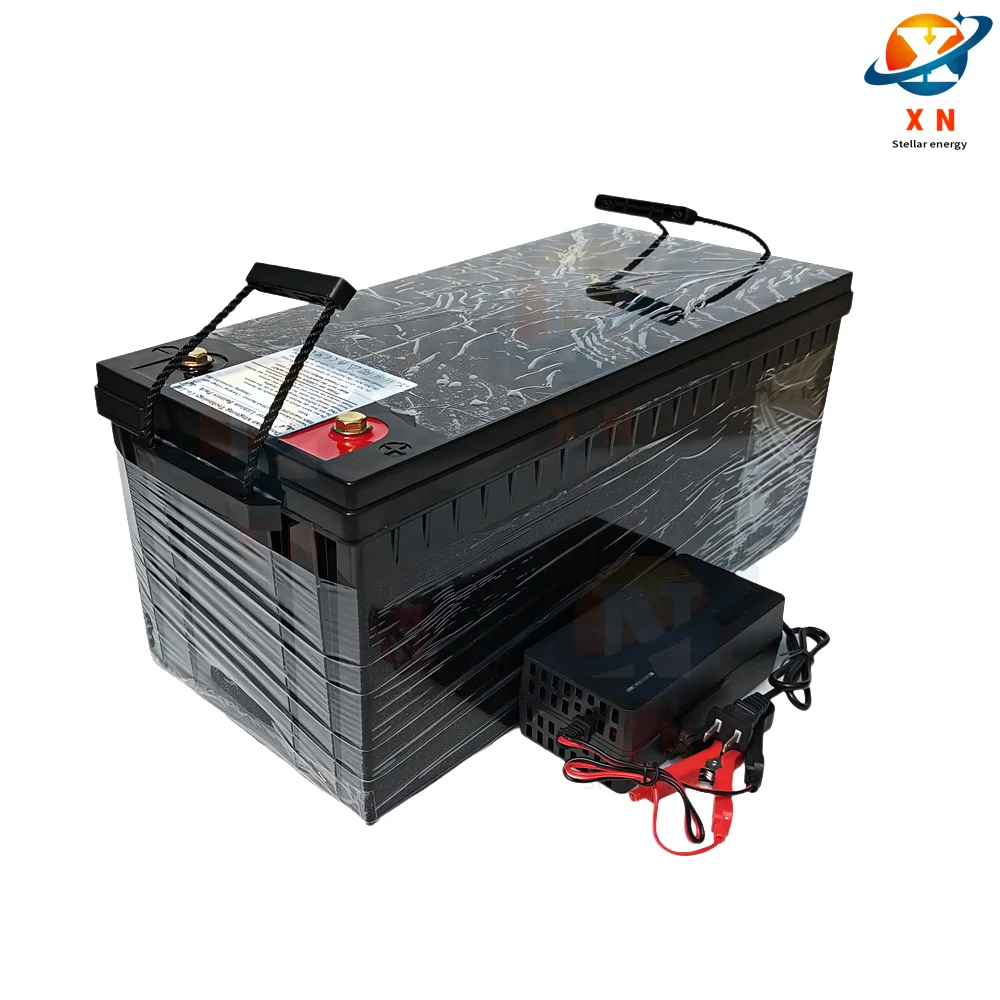 lifepo4 battery 48v 100AH with BMS for tricycle golf cart inverter Solar energy storage scooter + 10A charger