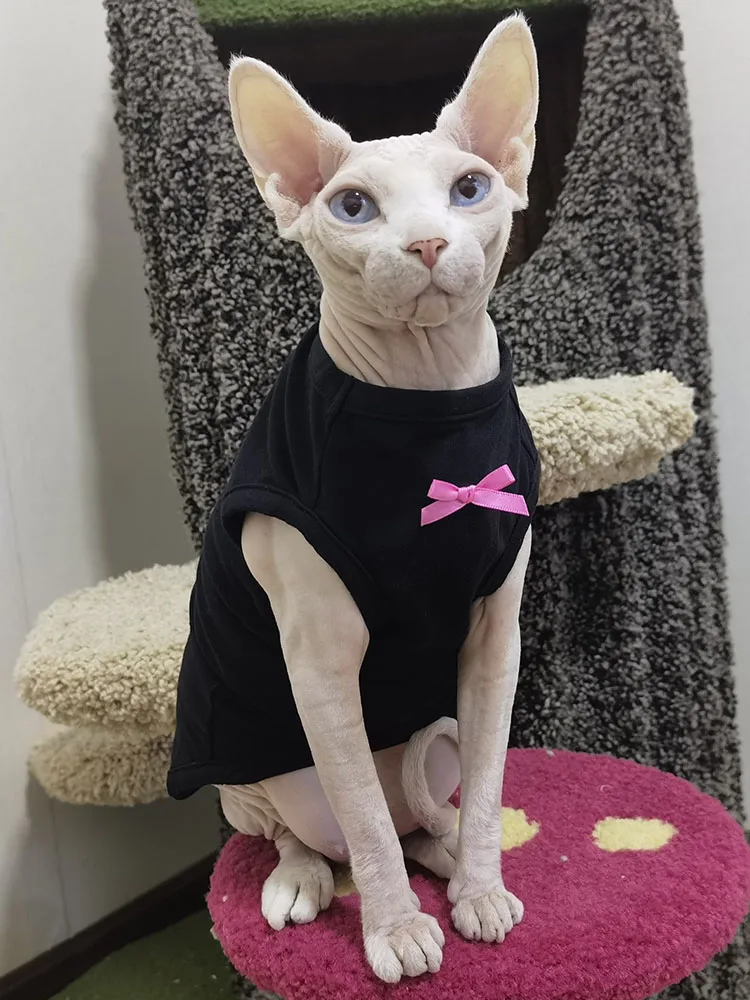 Sphynx Cat Dress with Bowtie in Summer Hairless Cat Clothes Soft Cotton Sweet Black Skirt for Devon Rex Shirt for Kittens