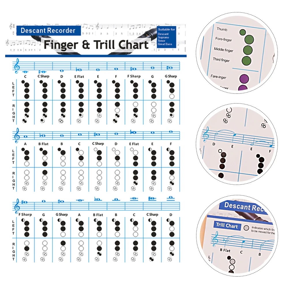 

Flute Chord Chart Clarinet Fingering Guide Durable Coated Paper Practice Supplies Students Beginner Learning Poster
